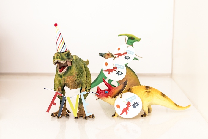 Фотозона с динозаврами на 5 лет мальчику