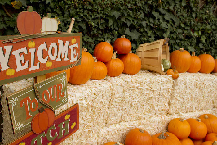 Фотозона на Хэллоуин и украшение праздничного стола