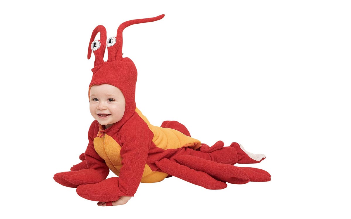 Забавный костюм для малыша. Фото с сайта www.latesthdwallpapers.in 