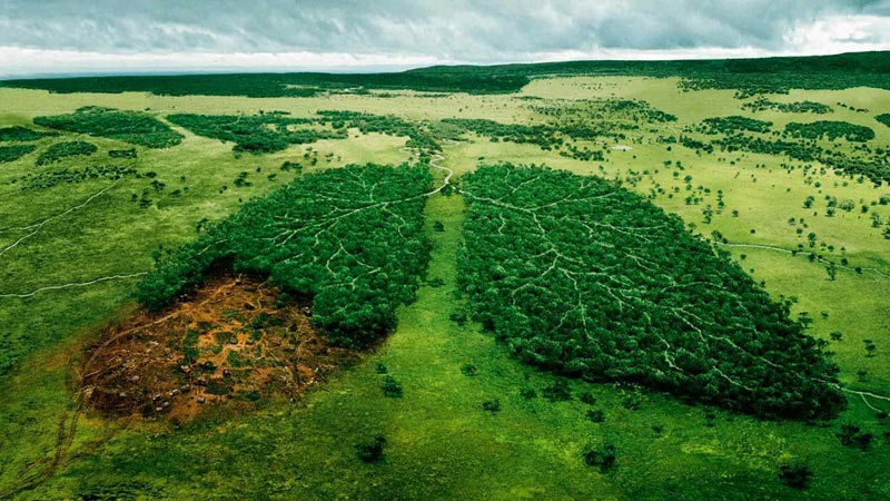 Спасите планету! Фото с сайта www.fullhdoboi.ru 